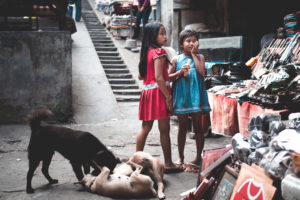 Children and dogs at Bali
